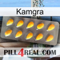 Kamgra cialis1